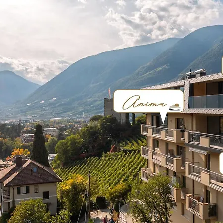 Levita Living Wolke Apartamento